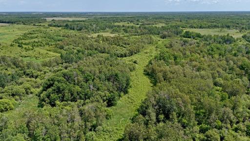 TBD 390th Ave, Gatzke, MN 56724