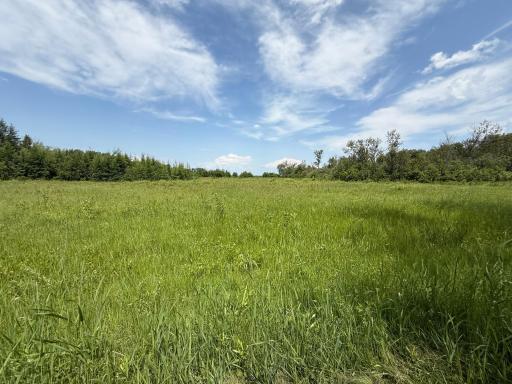 TBD 390th Ave, Gatzke, MN 56724