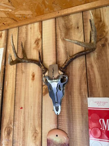 TBD 390th Ave, Gatzke, MN 56724