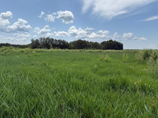 TBD 390th Ave, Gatzke, MN 56724