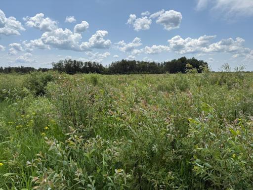 TBD 390th Ave, Gatzke, MN 56724