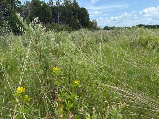 TBD 390th Ave, Gatzke, MN 56724