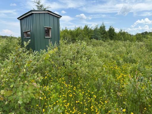 TBD 390th Ave, Gatzke, MN 56724