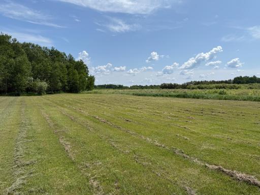 TBD 390th Ave, Gatzke, MN 56724