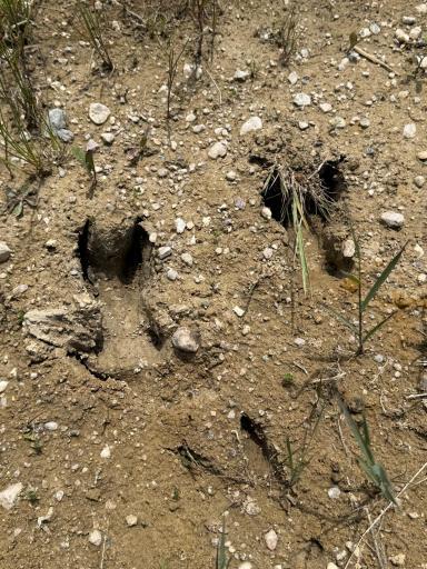 TBD 390th Ave, Gatzke, MN 56724