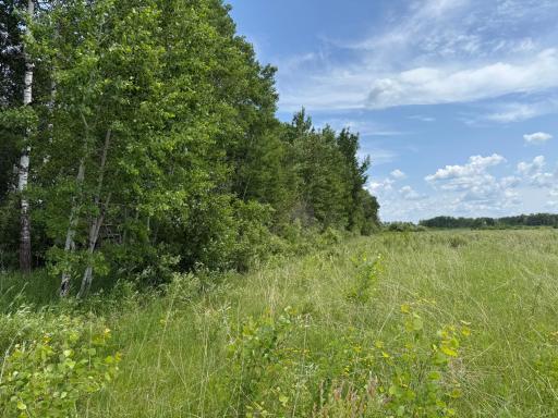 TBD 390th Ave, Gatzke, MN 56724