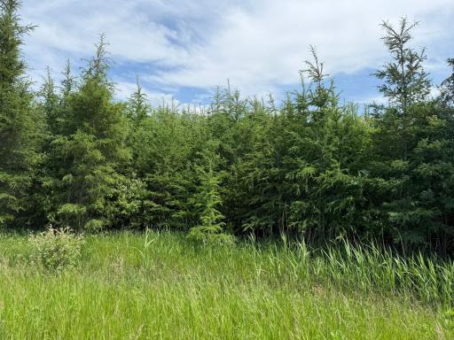 TBD 390th Ave, Gatzke, MN 56724