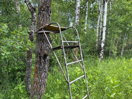 TBD 390th Ave, Gatzke, MN 56724