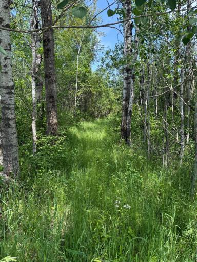 TBD 390th Ave, Gatzke, MN 56724