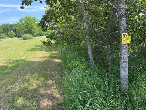 TBD 390th Ave, Gatzke, MN 56724