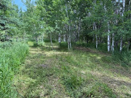 TBD 390th Ave, Gatzke, MN 56724