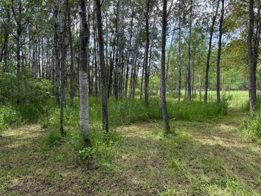 TBD 390th Ave, Gatzke, MN 56724