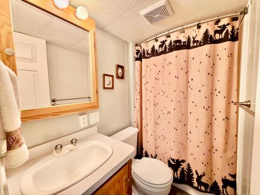 15827 Wilderness Trail, 30, Crosslake, MN 56442