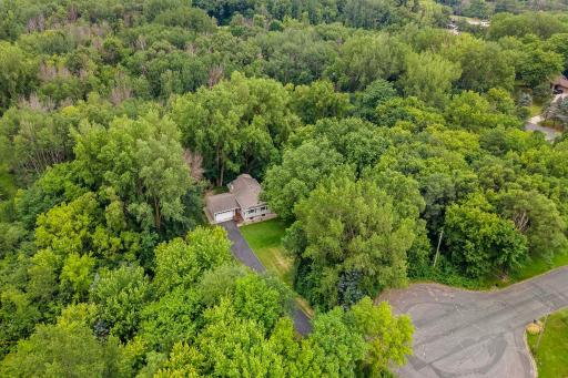 Over 3 Acres To Explore - Gorgeous