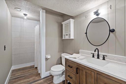 Lower Level Bathroom All New in 2025