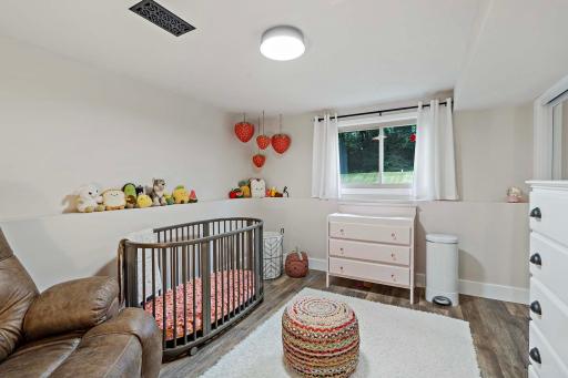Lower Level Bedroom 2