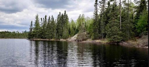 TBD Elbow Lake North, Cook, MN 55723