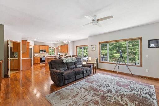 Who wants to watch the TV with that view? No need for shades here, the back yard is completely private.