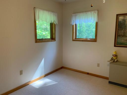 25202 Heather Trail, Nevis, MN 56467