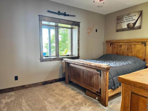 Lower Level Office/Bedroom.jpeg