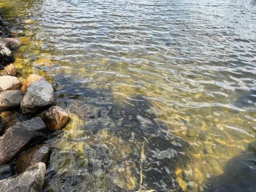 Excellent Hard Sand Bottom.jpeg