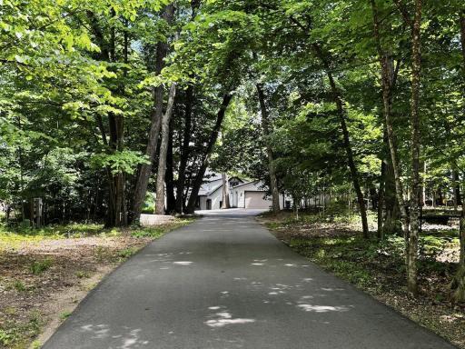 1.33 Acres With Mature Hardwood Trees.jpeg