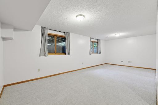 Lower level with new carpet with look out windows. Great space that awaits buyers.