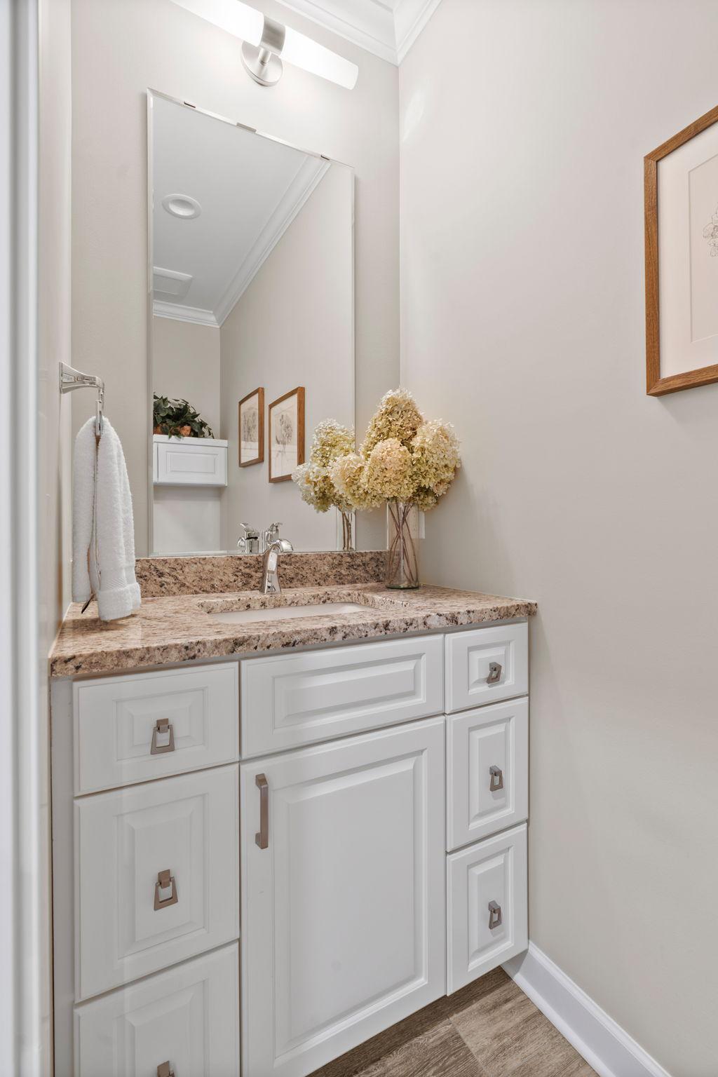 lower level guest bath.jpeg