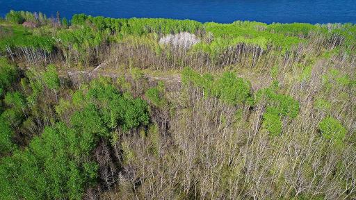 Photo for Lot 9 - TBD Driftwood Lane NW, Baudette, MN 56623 - Listing #6745248 Lot 9 - TBD Driftwood Lane NW, Baudette, MN 56623