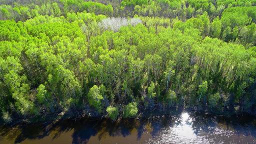 Photo for Lot 9 - TBD Driftwood Lane NW, Baudette, MN 56623 - Listing #6745248 Lot 9 - TBD Driftwood Lane NW, Baudette, MN 56623