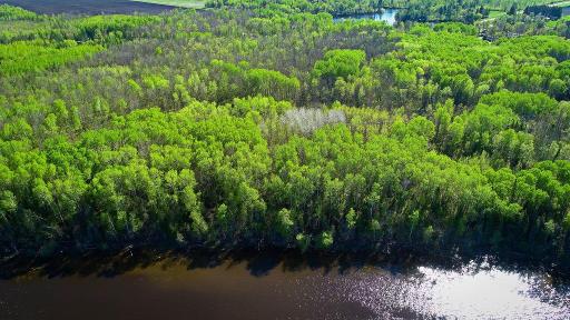 Photo for Lot 9 - TBD Driftwood Lane NW, Baudette, MN 56623 - Listing #6745248 Lot 9 - TBD Driftwood Lane NW, Baudette, MN 56623
