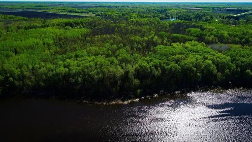 Lot 12 - TBD Driftwood Lane NW, Baudette, MN 56623