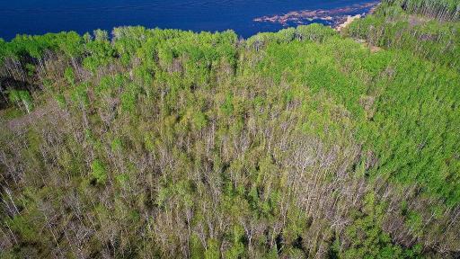 Lot 12 - TBD Driftwood Lane NW, Baudette, MN 56623