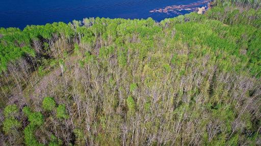 Lot 12 - TBD Driftwood Lane NW, Baudette, MN 56623