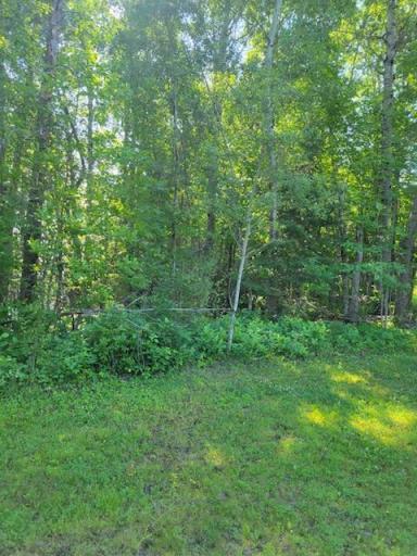 Lot 12 - TBD Driftwood Lane NW, Baudette, MN 56623