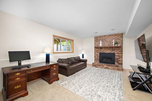 Look! Another perfect living space! This lower level family room with a gas burning fireplace is amazing for entertaining or a little extra space for whatever you need!