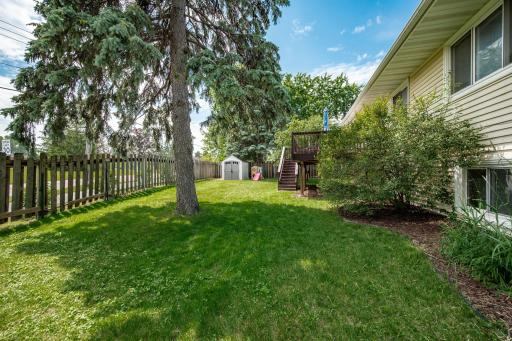 Great backyard with new storage shed and lilacs growing for privacy along the outside of the fence!