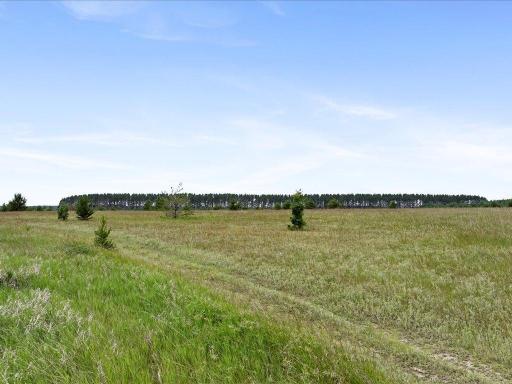 15573 State 64, Akeley, MN 56433