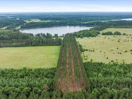 15573 State 64, Akeley, MN 56433