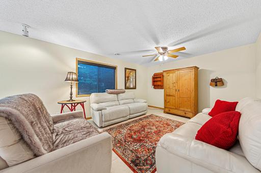 Lower level family room