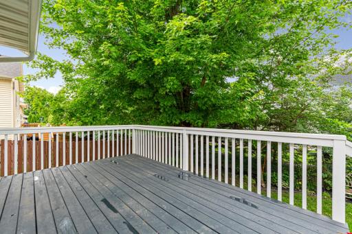 Freshly stained deck