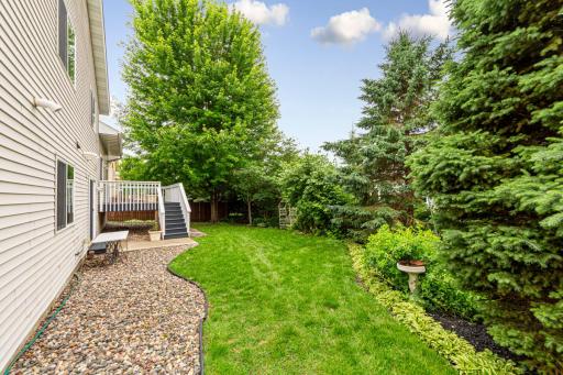 Nice and private backyard
