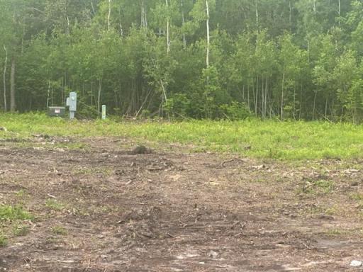 TBD 500th Avenue, Salol, MN 56756