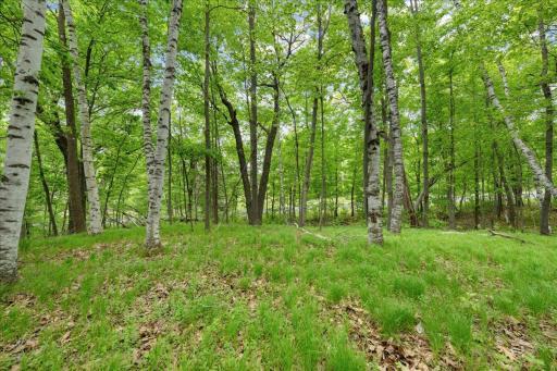 19311 (Xxx) N Newgate Avenue, Marine On Saint Croix, MN 55047