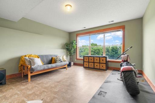 Finished walkout LL w/ Family Room, Gaming Area, 5th Bed/Flex Room, Â¾ Bath & Storage
