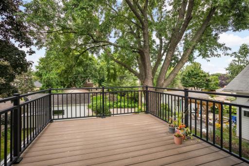 Lovely treetop deck off the primary bedroom