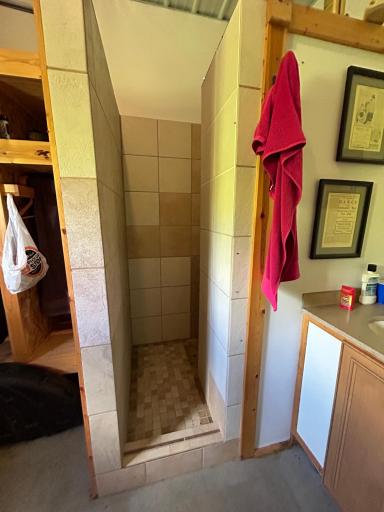 Shower/Sink in Garage