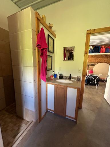 Shower/Sink in Garage