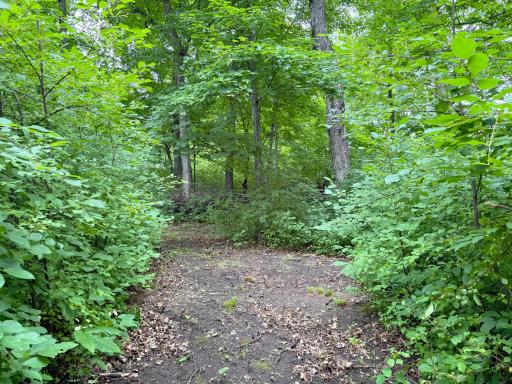 19288 328th Avenue, Isle, MN 56342