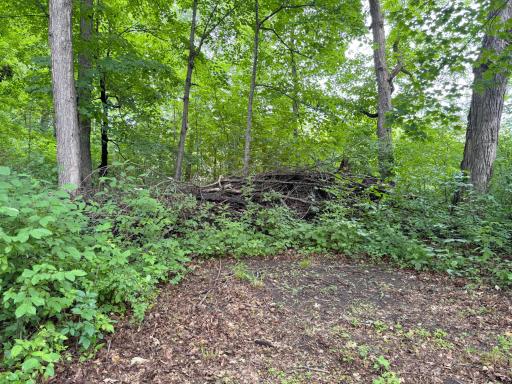 19288 328th Avenue, Isle, MN 56342